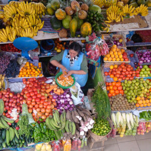 Culinary experience food tours in Ecuador
