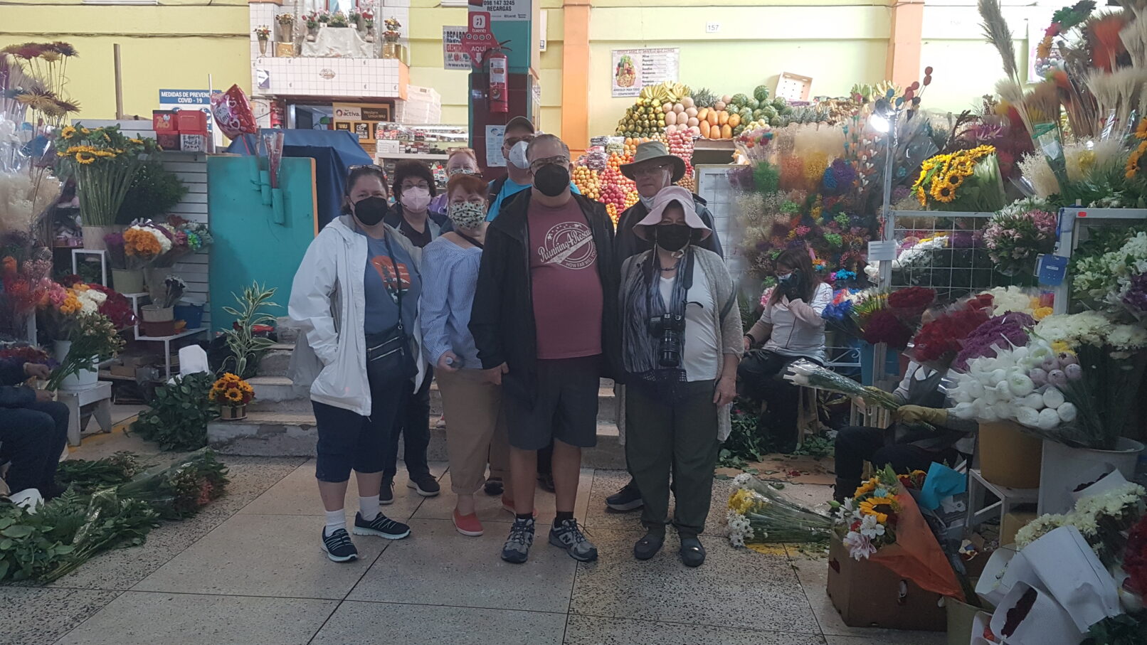 Full-day Quito city tour